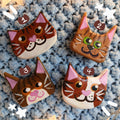 Four brown tabby cat face magnets all with different hand-painted faces arranged on a textured light blue background surrounded by star string lights.